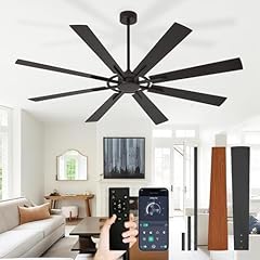 Black+Walnut & Black Blades