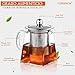 Imagen de Cuperinox-Tetera de Cristal con Infusor para Té e Infusiones