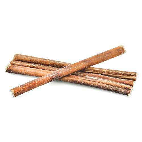Barkworthies Odor-Free 12-Inch Bully Sticks (3 Pack) - Healthy Dog Chews - Protein-Packed, Highly Digestible, All-Natural Rawhide Alternative Dog Treats - Promotes Dental Health #TOP3