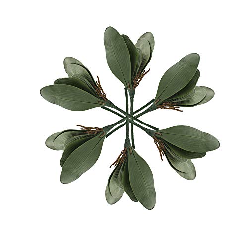 ASSR - 6 hojas artificiales de orquídeas falaenopsis, hojas de orquídeas de...
