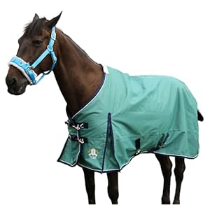 T TEKE Deluxe Turnout Horse Blankets, 1200D Waterproof and Breathable Horse Care Blankets for Winter 200gram Filling (51″-87″ Including Miniature/foal Size)