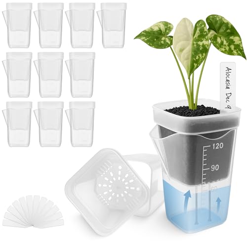 Vandorelle 12 Pack 2' Mini Self Watering Pots for Indoor Plants,Small Clear Plastic...