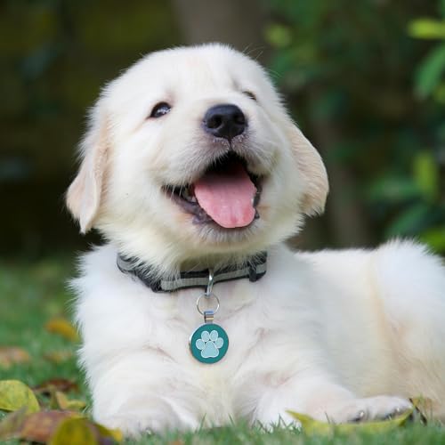 MYLUCKYTAG QR Code Pet ID | Personalized Dog & Cat Collar Tag | Online Profile with Instant Scanned Location Alert Email - Image 5