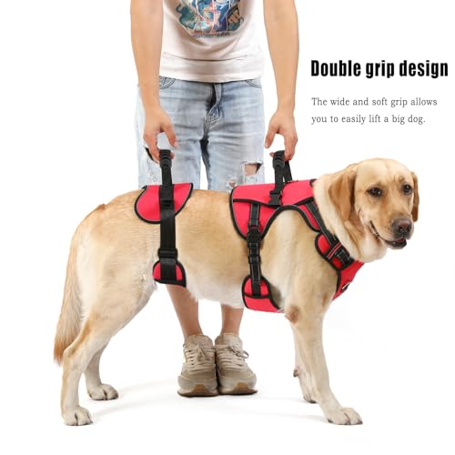 NOYAL Dog Lift Harness for Senior & Injured Pets – Full-Body Support Sling with Breathable Mesh, Front/Rear Leg Assist for Arthritis, Hip Dysplasia & Post-Surgery Recovery (Medium-Large Breeds) by NOYAL - Used condition - Image 4