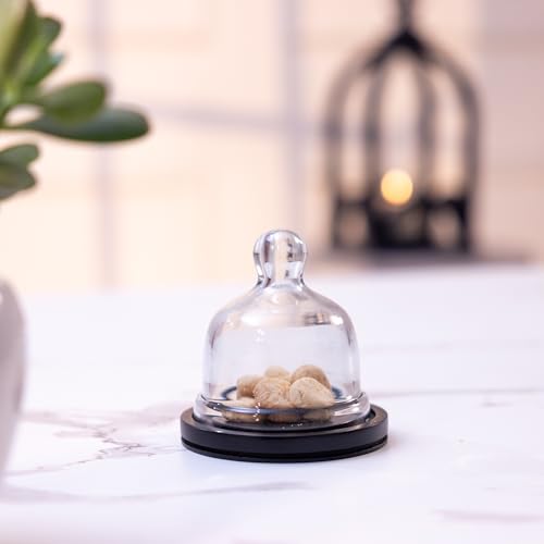 Image of Dusk Acacia Wood Cake Stand with Glass Dome, Black Finish | Perfect for Pastries, Desserts, Donut Cake, Cupcakes & Cookies