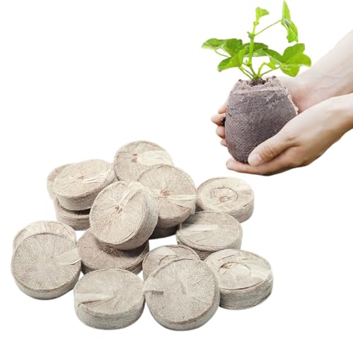 Mokylor Torfpellets 20/50 Stück Quelltabletten