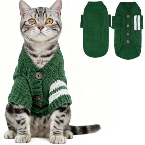 EXPAWLORER LbgZ[^[J[fBK - X^CbVȃjbgLApX^C̃\tgqZ[^[tgybgjbgEFAAH~qLR[gA̎qj̎qLpAO[M