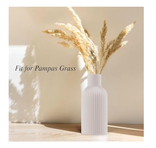 Image of SPHINX Ribbed Pipe Ceramic Vase, Flower Vase, Pampas Grass Vase, Vase for Money Plant Live Plants for Home, Office, or Gifts NO Flowers- (SN-White 8.5 Inch)
