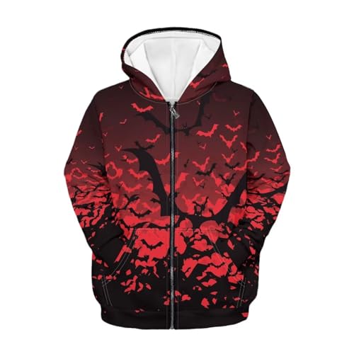 Image of Unisex Zipper Sweatshirt Boys Girls Hooded with 2 Pocket Pullover Hoodies for 6-16Y Kids