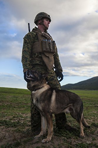 mwd military
