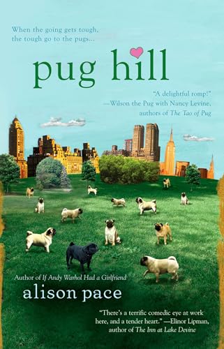 Pug Hill view 2