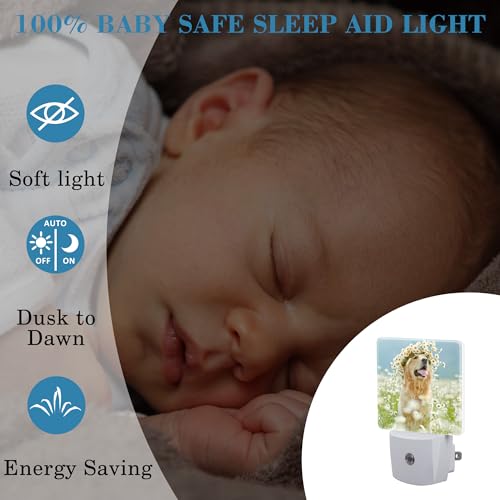 Image of Plug in Night Lights Golden Retriever with Daisy Wreath Night Light with Dusk to Dawn Sensor Night Light for Kid Girls Boys Women Men Room Decor, Hallway, Kitchen, Bathroom, Nursery, Stairs