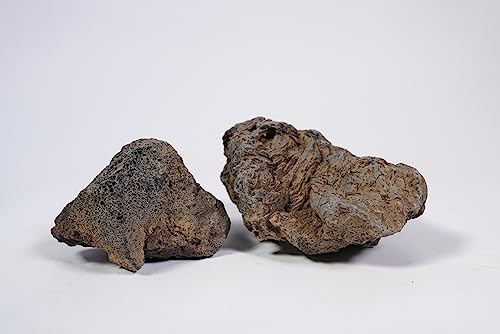 Image of LANDEN Black Icelandic Lava Stone Natural Rocks (18lbs, 3~11 inches,11pcs) for Aquariums, Paludariums, Terrariums, Caves and Rocky Peaks, Mountainous Desert Landscapes