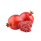 450 piezas semillas de granado - árboles compran regalos sostenibles para mujeres planta de granada, punica granatum, semillas de frutas macetas jardín regalo bonsai árbol regalos de