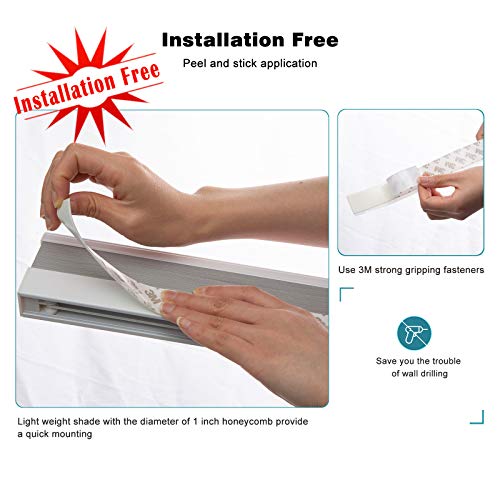 Changshade Cordless & Light Filtering Cellular Shade, Tools-Free Pleated Polyester Honeycomb Shade, Light Blocking Window Shade And Blind, 19 Inches Wide, White Cel19Wt36B #TOP1