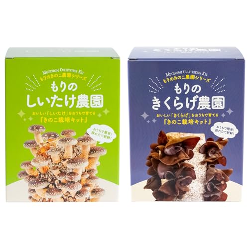 森のきのこ倶楽部 もりのしいたけ農園×きくらげ農園 栽培キット シイタケ 椎茸 キクラゲ 木耳 食育 本格栽培 おうち時間 プレゼント ギフト 菜園 説明書付き 室内 国産の商品画像（Amazon）