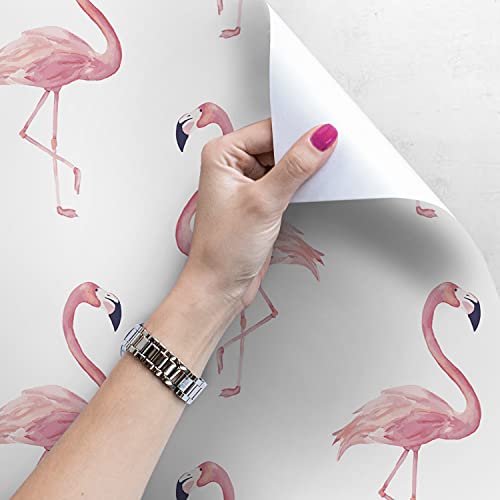 Papier Peint Latex Muralo Flamant Rose 104x70 Rendu Premium Décoration Mur - 4