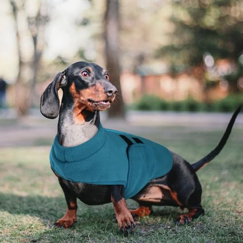 Queenmore Dog Sweaters - Soft Fleece Pullover Jacket, Warm Winter Dog Clothes, Dachshund & Cat Size, Boy or Girl (Peacock-Blue, S) - Thumbnail 5