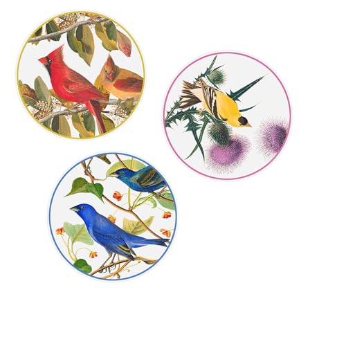 Adhesivos Decorativos para Ventanas MODGY John J. Audubon set 3 miniatura 1