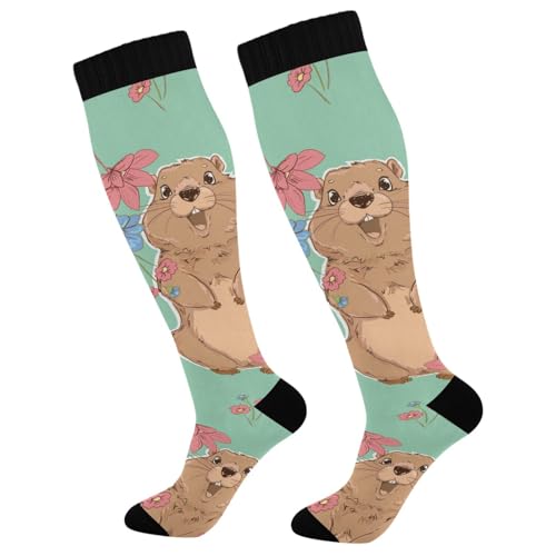 Dussdil Happy Groundhog Flowers Compression Socks for Women Men Christmas Circulation Long Knee Socks for Winter Warm Stockings Socks