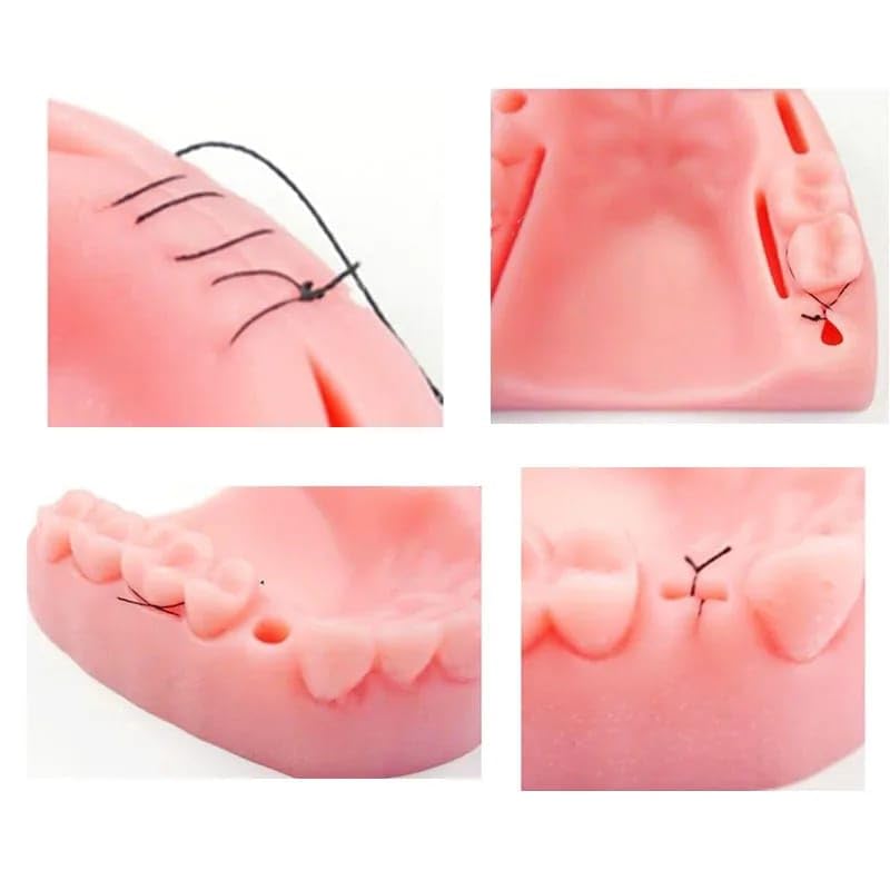 Dental Suture Pad Oral Suture Training Practice Dental kit Dentist Teaching Model