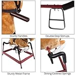 Spring Rocking Horse Plush Ride on Toy with Adjustable Foot Stirrups and Sounds for Toddlers to 5 Years Old by Happy Trails - Brown - Image 2