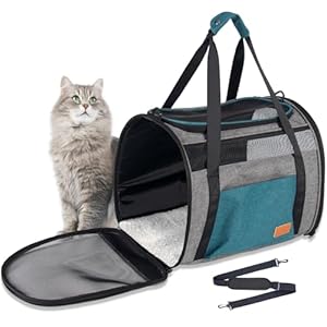Cat Carrier for Large Cats 20 lbs, Soft Sided Breathable Mesh Cat Travel Carrier, Large Cat Carrier Airline Approved, Washable Pet Carrier for Cats Small Dogs Puppies, Foldable Cat Carrier, Blue