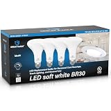 Great Eagle Lighting Corporation BR30 LED Bulb...