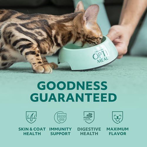 Optimeal 85318 Wholesome Tender Morsels Cat Wet Food - Real Morsels, Balanced Recipe For Adult Cats (4.5Lbs, 24 Pouches) Lamb & Veggies thumb #1