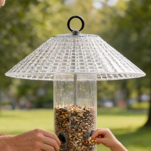 Cubierta para comederos de pájaros que evita la comida mojada en el jardín y patio 4