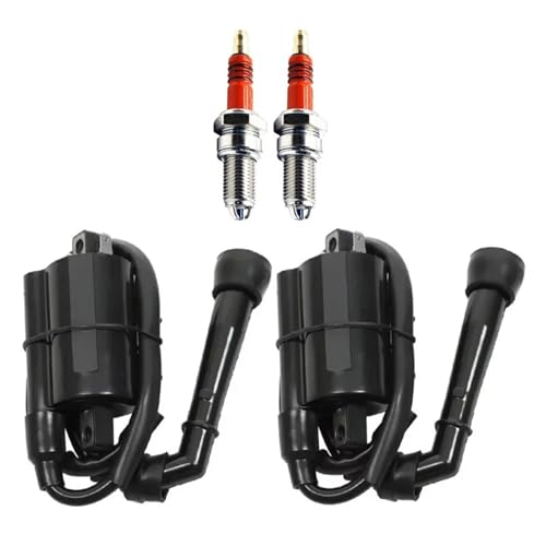 Bobine d'allumage avec 2 bougies pour Suzuki Intruder VS700 VS750 VS800 1986-2004