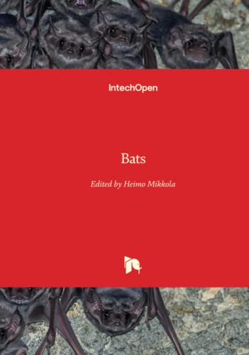 Bats view 2