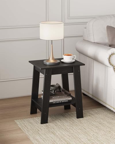 Garvee End Table, Side Table with 2-Tier Storage Shelf, Sofa Table for Small Space, Square Nightstand for Entryway, Farmhouse, Living Room, Easy Assembly, Black