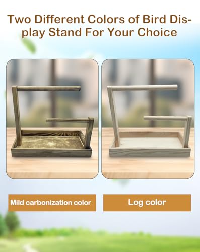 Image of 8 Pcs Small Bird Training Stand Set Portable Tabletop Birds Perch Desktop Platform Training Perch with Disposable Pads Parakeet Play Gyms Exercise for Budgie Conure Parrot Cockatiel