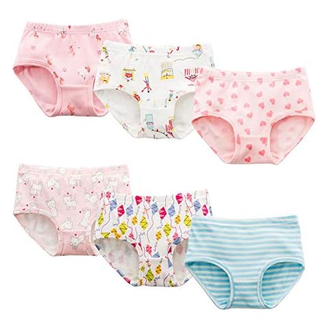AOSKERA Girls 100% Cotton Knickers Unicorn Kitty Underwear Flower 6 Pack for Kids (Style 03, 2-3 Years) Cover