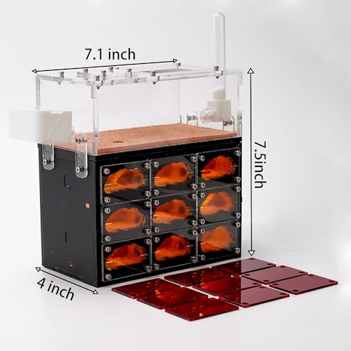 Ant Farm for Live Ants with Inner Lights - Large Viewing Area - Natural Learning Toy - Great Gift - Thumbnail 2