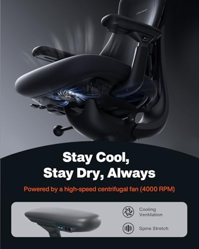 Steelcase Leap V2 chair