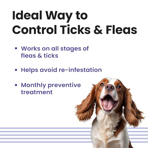 Image of Vivaldis VI-FI Forte 1.34 ml - Single Pipette - Spot on Solution for Prevention & Effective Control of Flea, Tick & Chewing Lice Treatment for Dogs Weighing from 10 to 20 kg (Pack of 2)