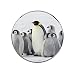 Mignon Pingouins Animal Aimants De Réfrigérateur , Aimants De Réfrigérateur Créatifs pour Décor Autocollants Aimants De Bureau Armoires