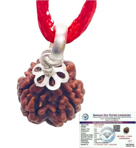 Image of Siddha 3 / Three Mukhi Pure Rudraksha from Nepal, Laboratory Certified.