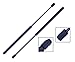 2 Pieces (Set) Tuff Support Rear Liftgate Lift Supports 2013 To 2015 Acura Rdx Manual Liftgate
