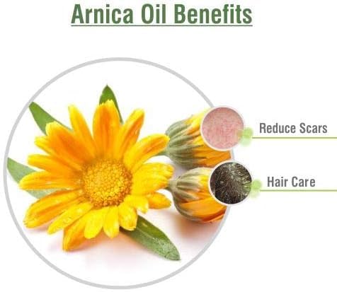 Image of Arnica Oil (Arnica Montana) 15ml | 100% Pure & Natural Carrier Oil | for Massage, Muscle Relaxation, Skin Care & Hair Care | Lightweight & Non-Greasy