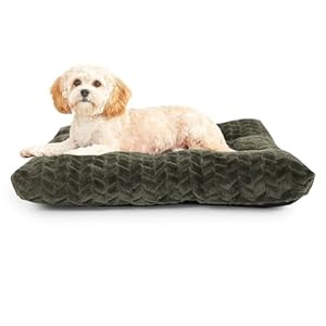 Dog Crate Mat for Dog Cages Olive Green Dog Bed for Small Dogs 24 Inch Dog Crate Bed Washable Dog Mats for Sleeping,Up to 25 lbs Soft and Fluffy Small Dog Bed for Crate Tire Printing Olive Green S.