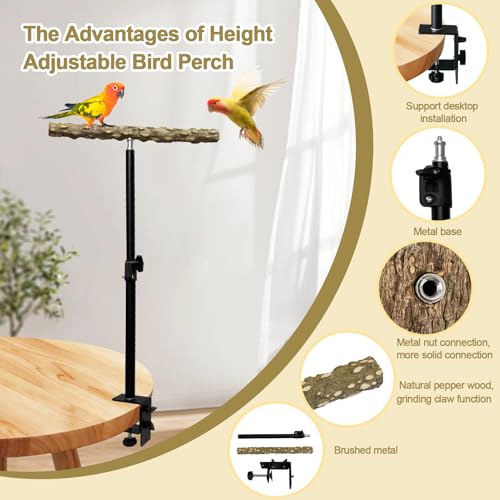 Image of 13-23 Inch Height Adjustable Desktop Bird Perch Pepper Wood Bird Training Perch Stand Parakeet Perches Indoor and Outdoor Parrot Stands for Small to Medium Bird