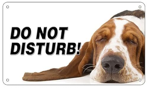 NEW CARTELLO SEGNALETICO - Attenti al cane basset