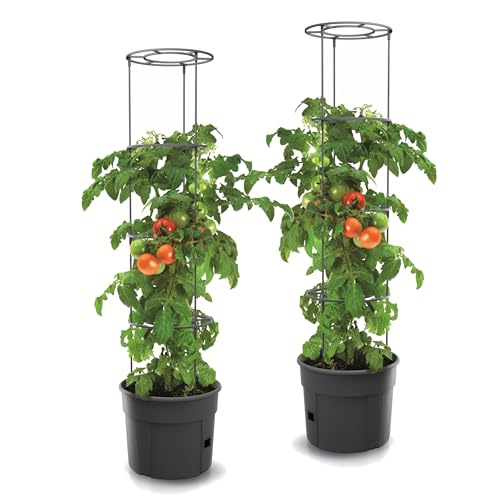 botle 2X Tomatenpflanze aus Kunststoff Set 2 STK Pflanzkübel 28 L, Tomatenzüchter, Tomatentopf, Übertopf, Gemüsen, Tomaten Waschen