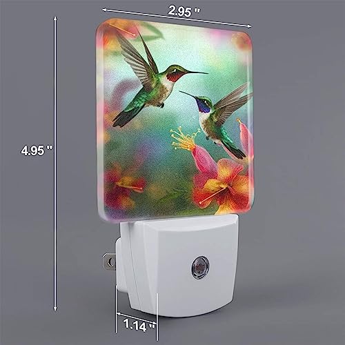 Image of Hummingbirds Floral Night Light Set of 2, Flowers Birds Auto Sensor LED Dusk-to-Dawn Nightlights, Plug-in Sensor Lamp for Bedroom Bathroom Kitchen Hallway Stairs Decorative