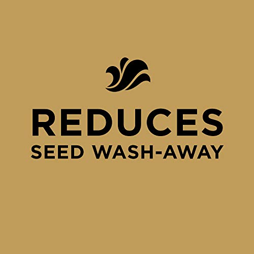 Grass Seed Blends For Sandy Soil And Beach Properties