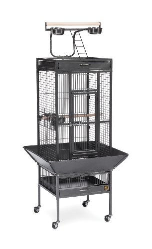 Prevue Pet Products Wrought Iron Select Bird Cage Black Hammertone 3151BLK, 18'' x 18'' x 57''