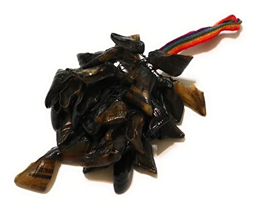 Andean Percussion Musical Folk Instrument Shaker or Chajcha. Ritual instrument from the Incas times. 13